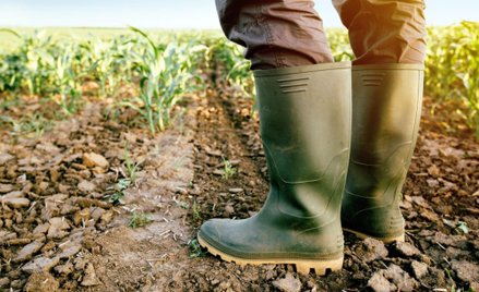 Ten surowiec skłóci Unię. I nie chodzi tu o ropę, gaz czy rzadkie metale