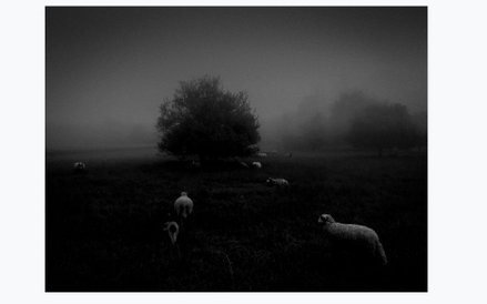 1. miejsce: Sukru Mehmet Omur