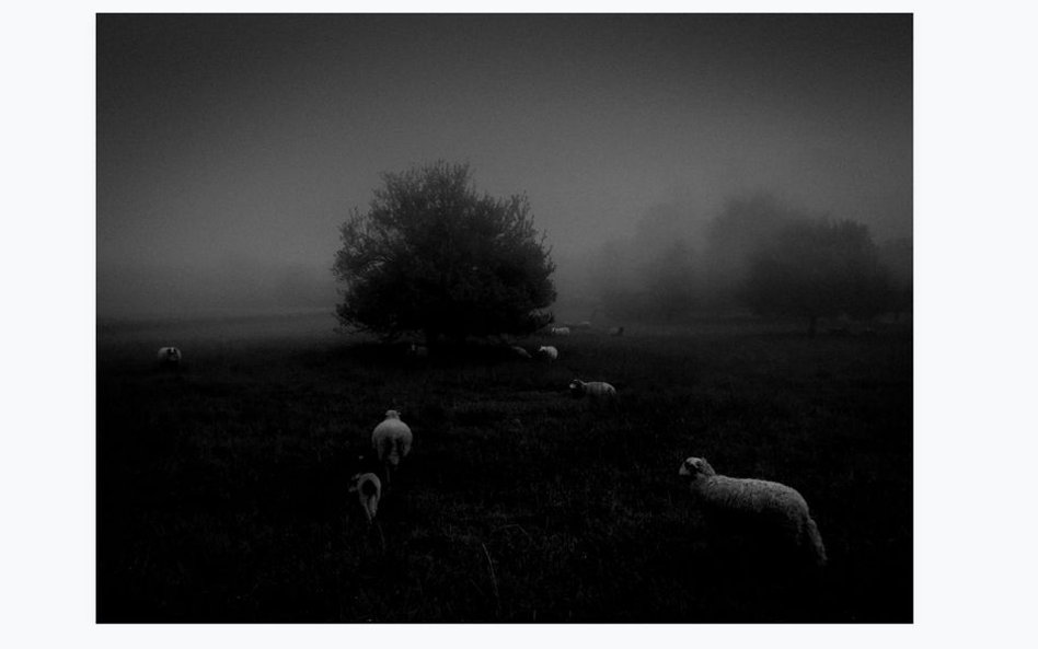 1. miejsce: Sukru Mehmet Omur