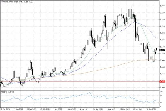 Notowania gazu ziemnego w USA – dane dzienne