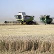 Combine harvesters in a field near Chernihiv, Ukraine