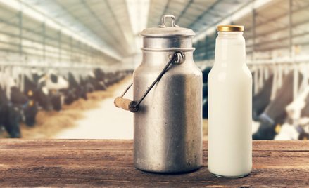 Nie było cukru, teraz może zabraknąć mleka w sklepach. Branża apeluje do rządu