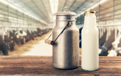 Przez koronawirusa nadprodukcja mleka w Polsce stała się problemem