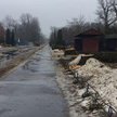 Wycięte drzewa w alei głównej stołecznego zoo