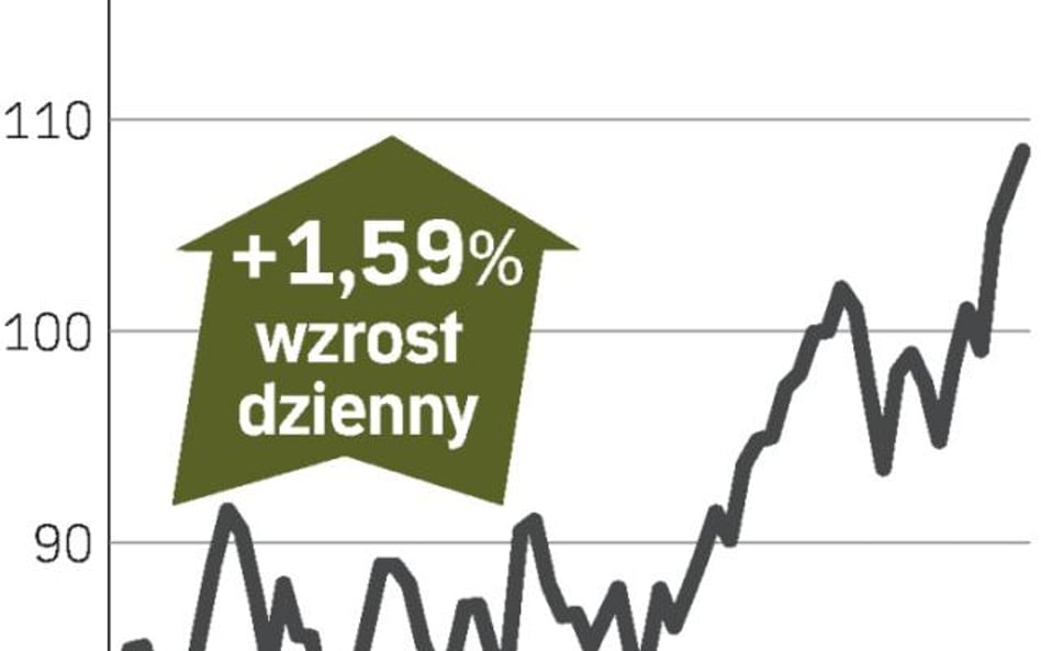 Lepsze prognozy miedziowej firmy