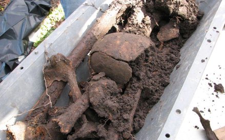 Znalezione szczątki żołnierza