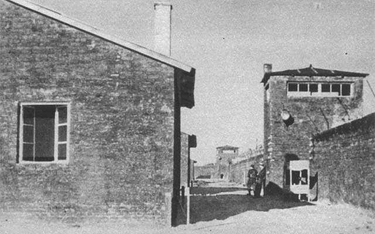 Baraki i wieże strażnicze KL Warschau. Zdjęcie wykonane po zdobyciu obozu przez żołnierzy batalionu 