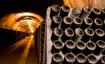 Ułatwienia podatkowe dla polskich winnic