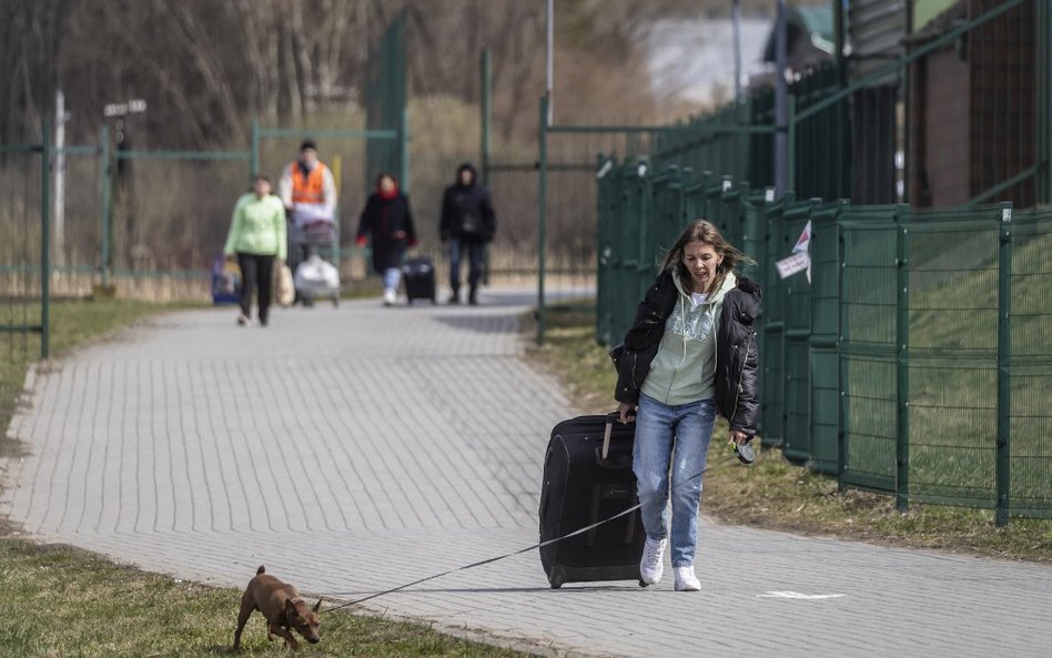 Niemcy: wzrost liczby ataków na rosyjskich i ukraińskich migrantów