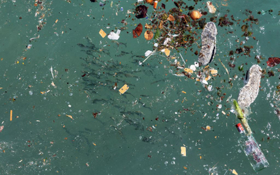 Badacze: W Atlantyku jest 10 razy więcej plastiku niż sądzono