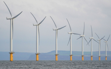 Umowa na fundamenty dla morskich farm wiatrowych Polenergii będzie później
