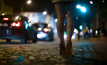 Branża usług seksualnych ma się w Europie doskonale