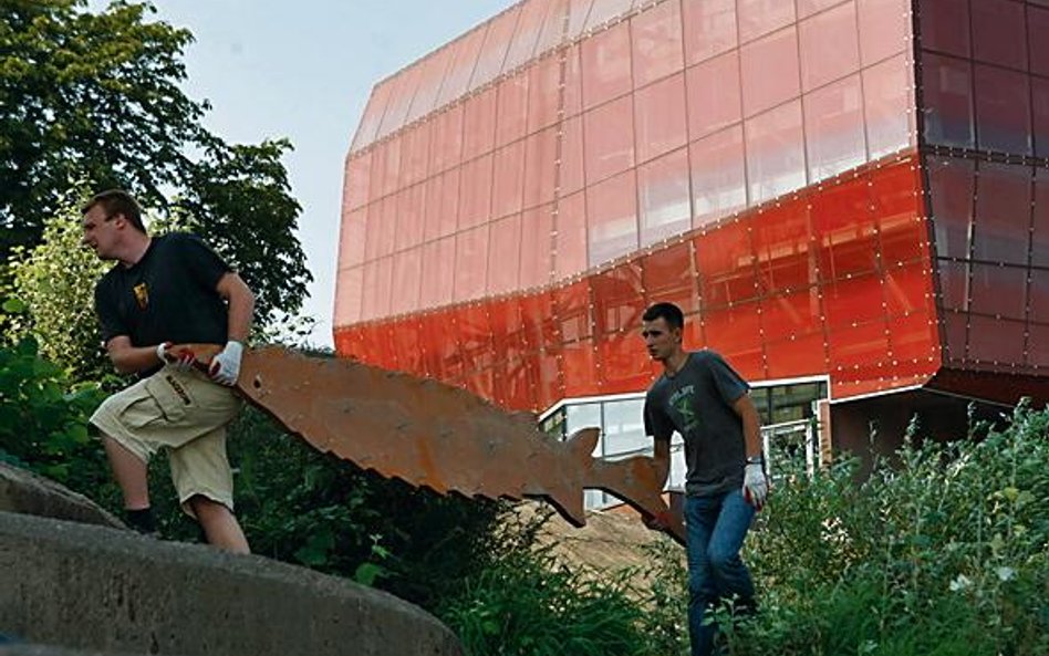 Jesiotry przymocowane do schodów będą służyły za ławki