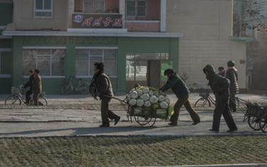 Produkcja żywności w Korei Północnej najniższa od dekady