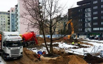 Wysoki na trzy piętra, 29-tonowy dąb z działki przy ul. Pełczyńskiego 20C w Warszawie został przenie