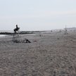 Pusta plaża Rockaway Beach w Queens po ataku rekina