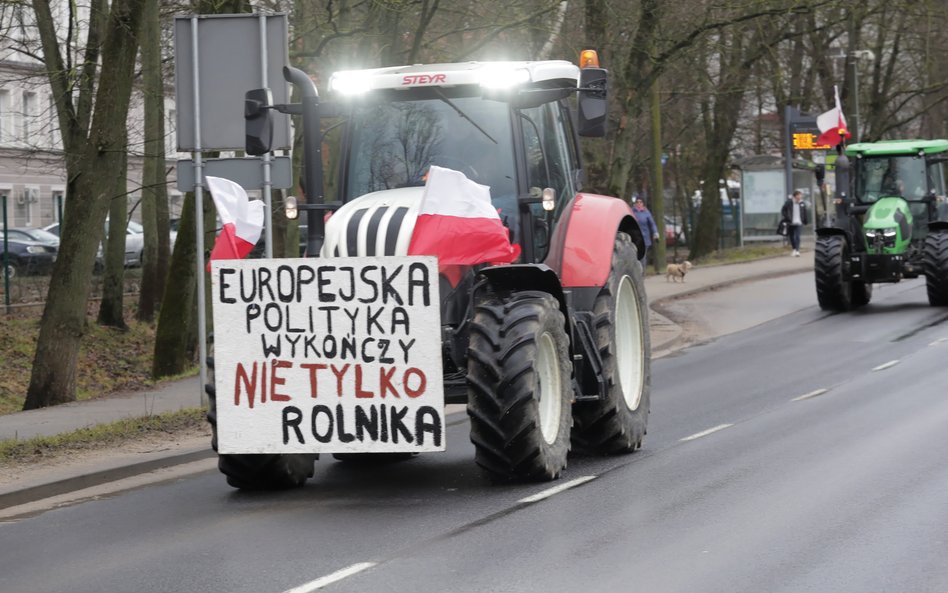 Rolnicy uważają, że Bruksela chce im dopiec Zielonym Ładem