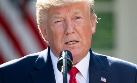 "Trump ocenił, że PiS przegra wybory". Opozycja komentuje odwołanie wizyty Trumpa