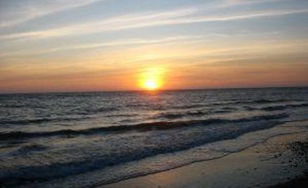 Bez wynagrodzenia i składek