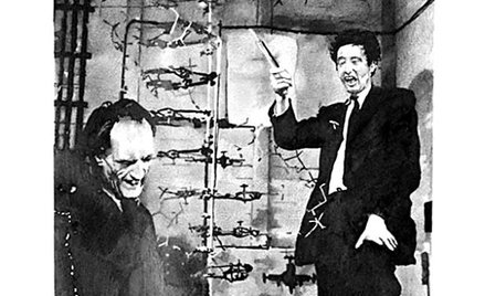 Wystawa. „Bez tytułu”, Fundacja Profile