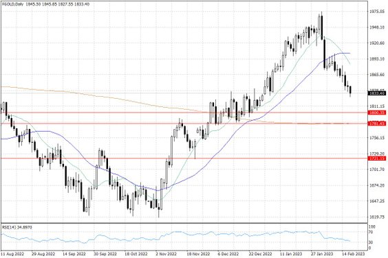 Notowania złota – dane dzienne