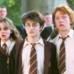 Dominujące poglądy epoki, w której J.K. Rowling tworzyła swoje dzieło, jak i jej główny lęk, przenik