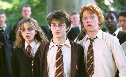 Dominujące poglądy epoki, w której J.K. Rowling tworzyła swoje dzieło, jak i jej główny lęk, przenik