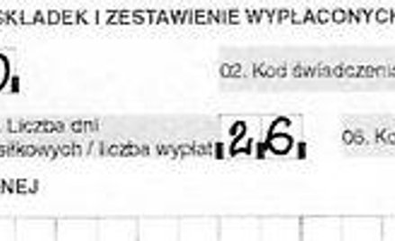 Raport ZUS RSA nr 1 z identyfikatorem 01.08.2007