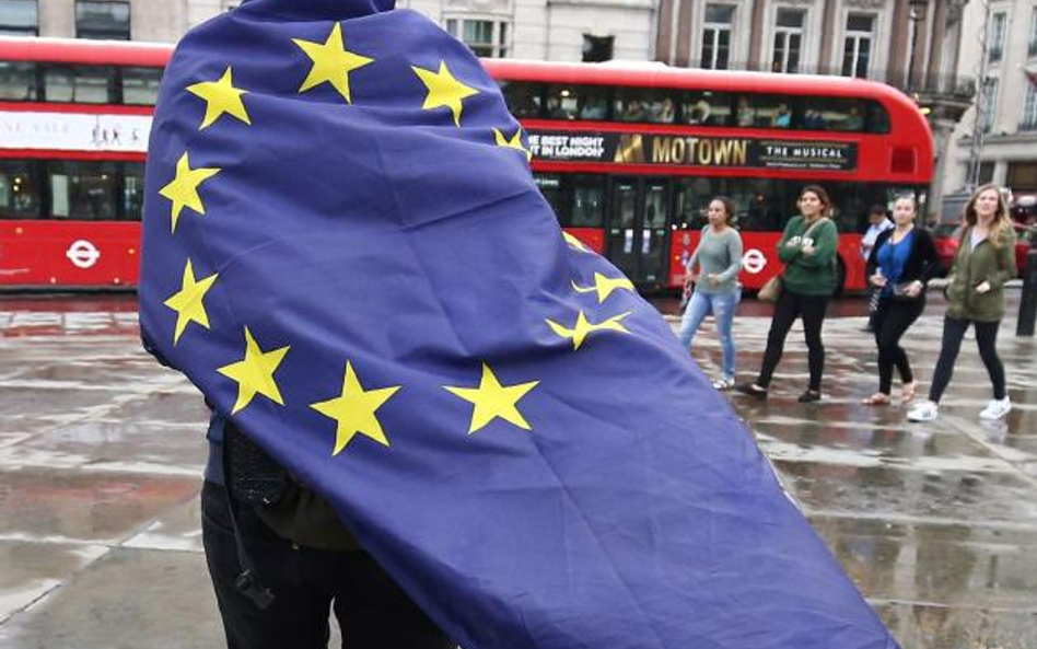 Londyn. Przeciwnicy brexitu czasem wychodzą na demonstracje.