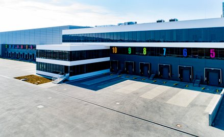 Śnieżka zakłada stabilny popyt na wyroby