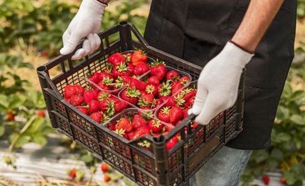 Większa fala imigrantów ze Wschodu nie wystarcza