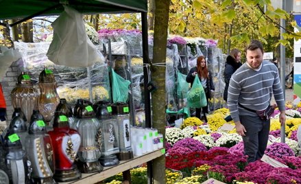 Na cmentarze – tylko żywe kwiaty