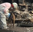 Pożary w Kalifornii. Liczba zaginionych wzrosła do 1000 osób