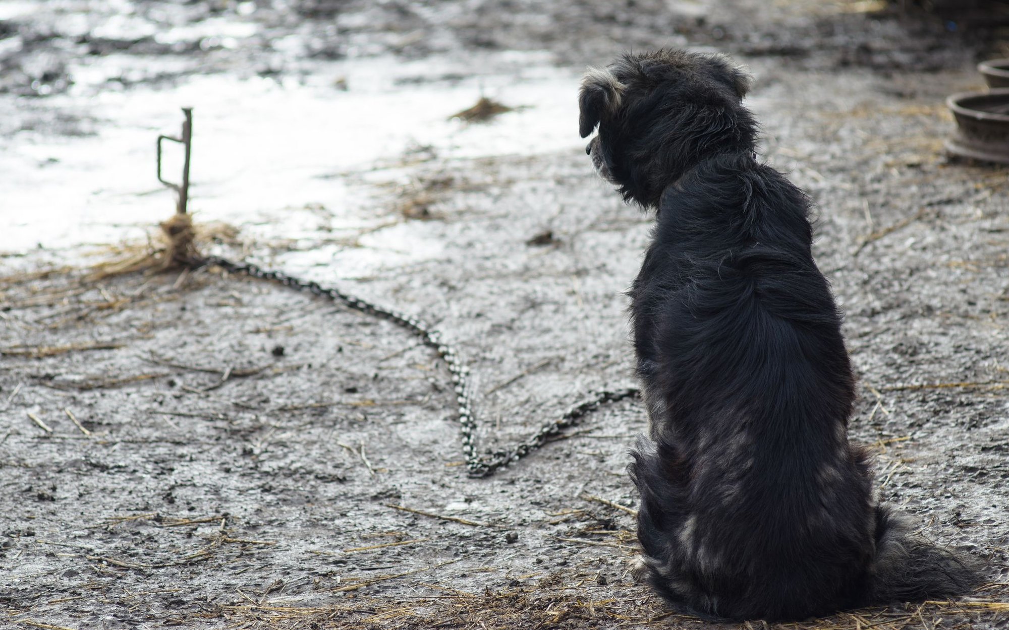 Prezydent Karol Nawrocki przygotował własną ustawę łańcuchową. Co zawiera?