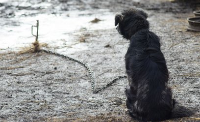 Prezydent Karol Nawrocki przygotował własną ustawę łańcuchową. Co zawiera?