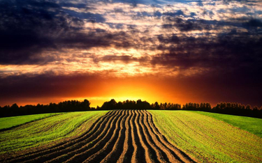 Rewolucja w zasadach obrotu ziemią rolną