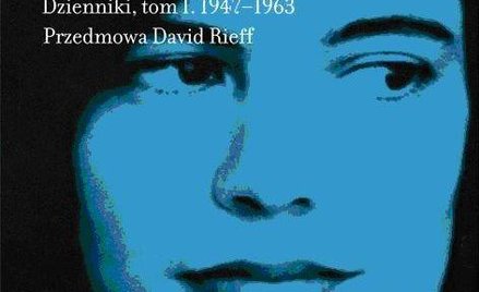 Sontag, czyli seks kontra intelekt