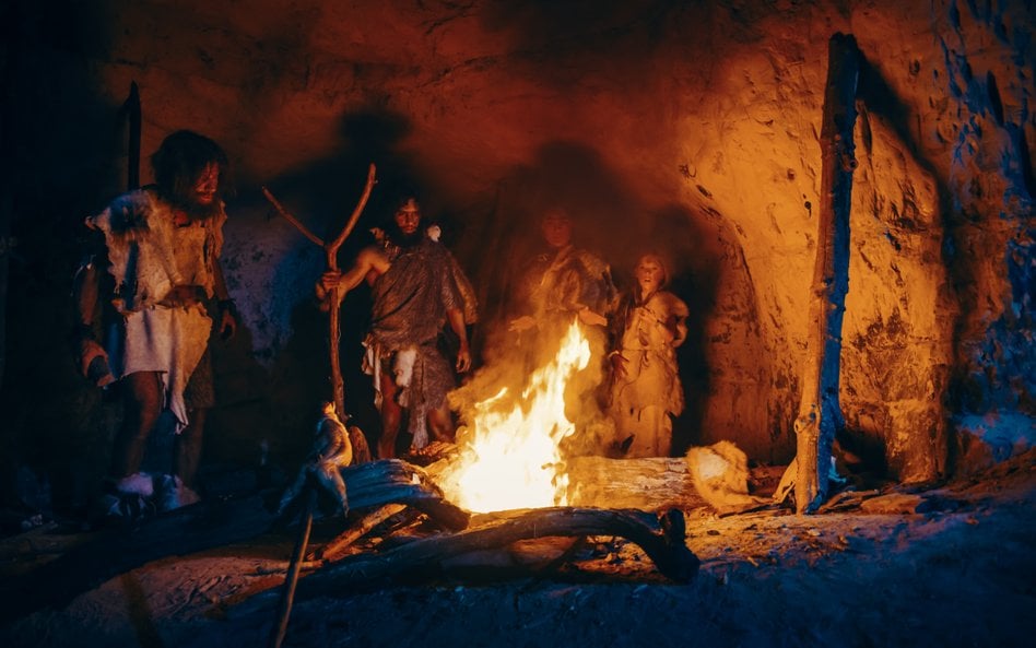 Neandertalczycy i łowcy-zbieracze mezolityczni (Homo sapiens) silnie wpływali na krajobraz Europy, t