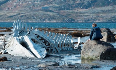 "Lewiatan" Andrieja Zwiagincewa