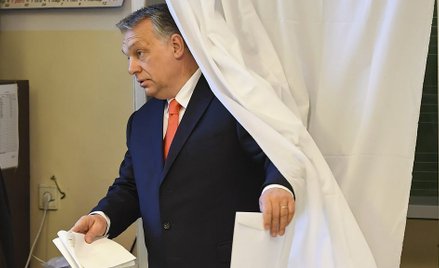 Mieli głosować do 19.00. Kolejki przedłużyły wybory