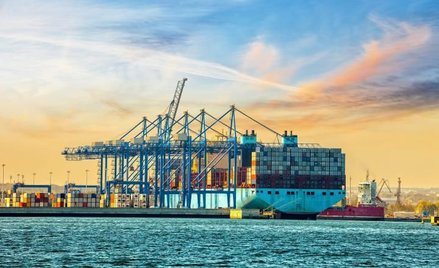 Aktywiści Greenpeace wspięli się na dźwigi i zatrzymali ich pracę