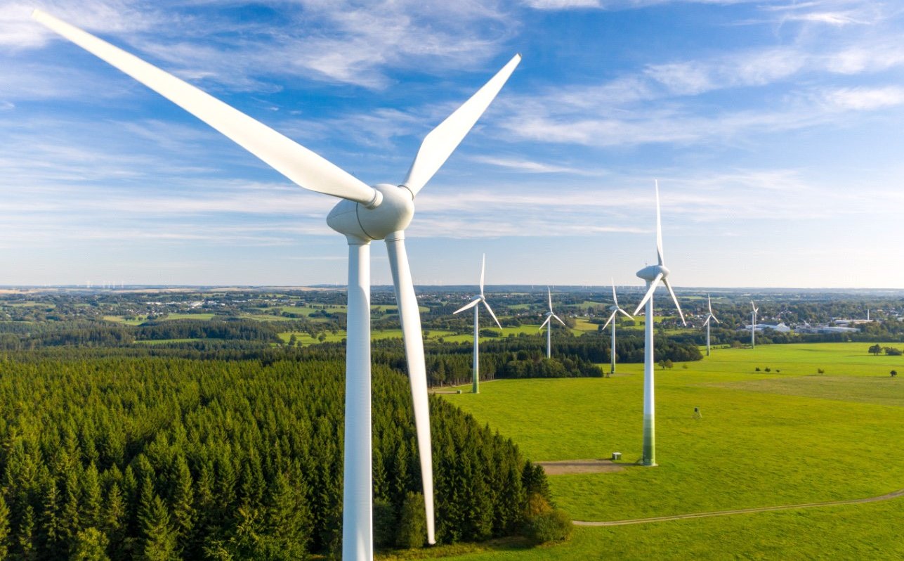 Odpowiedzialny, dbający o środowisko biznes może liczyć na korzyści