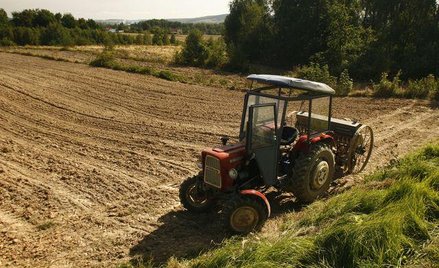 Tysiące straciły prawo do emerytur z KRUS