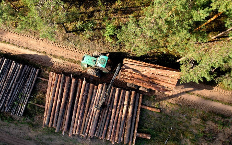 Wysokie ceny surowca, a także koszty energii i dostaw uderzyły w krajowych producentów mebli