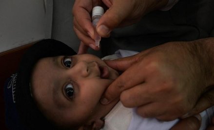 Prof. Majewska: Nie boję się swojego zdania o szczepionkach