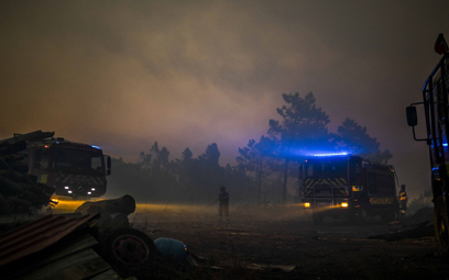 Z pożarem w gminie Mafra walczy ok. 400 strażaków