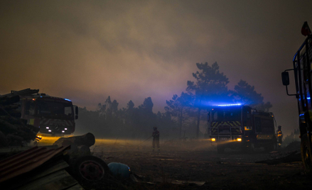 Z pożarem w gminie Mafra walczy ok. 400 strażaków