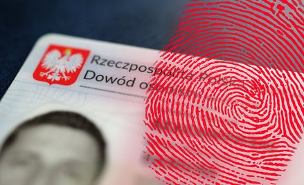 Co szósty Polak nie wie, co zrobić w razie kradzieży PESEL. Przeważają młodzi ludzie
