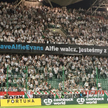"Alfie walcz, jesteśmy z Tobą!" na trybunach Legii Warszawa