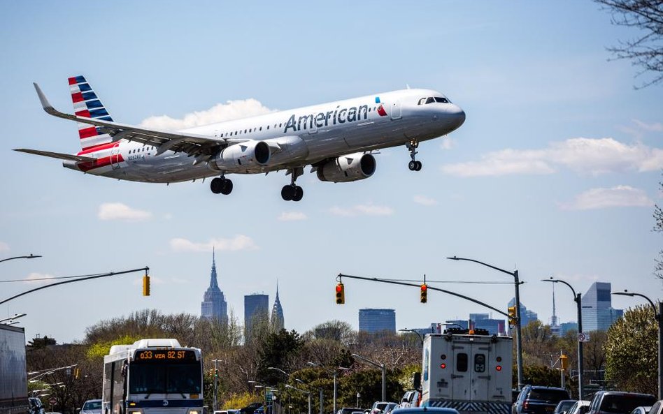 Właściciele gigantycznego królika skarżą United Airlines